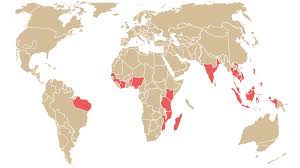 Leading Nations in Cashew Production