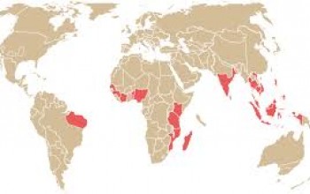 Leading Nations in Cashew Production