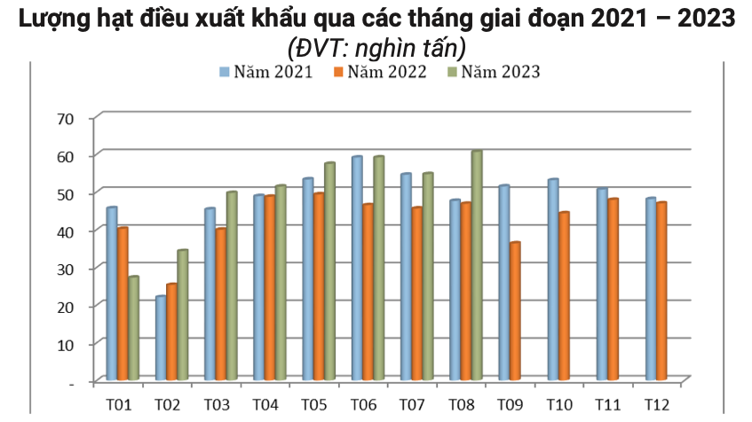 Tháng 8/2023, xuất khẩu hạt điều đạt mức cao kỷ lục mới với 60,58 nghìn tấn